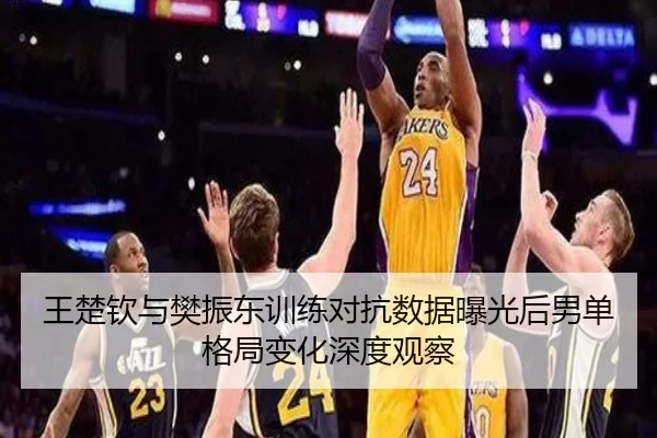王楚钦与樊振东训练对抗数据曝光后男单格局变化深度观察 - skysports
